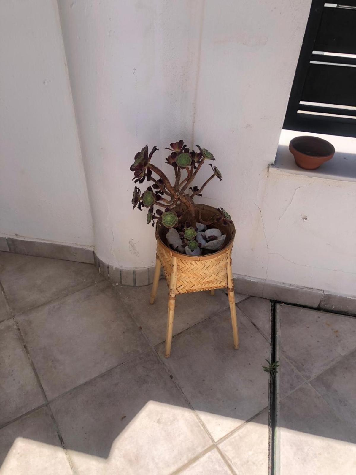 מארבלה Casa Kava In A Superior Aparthotel Resort Near Cabopino No Car Needed מראה חיצוני תמונה
